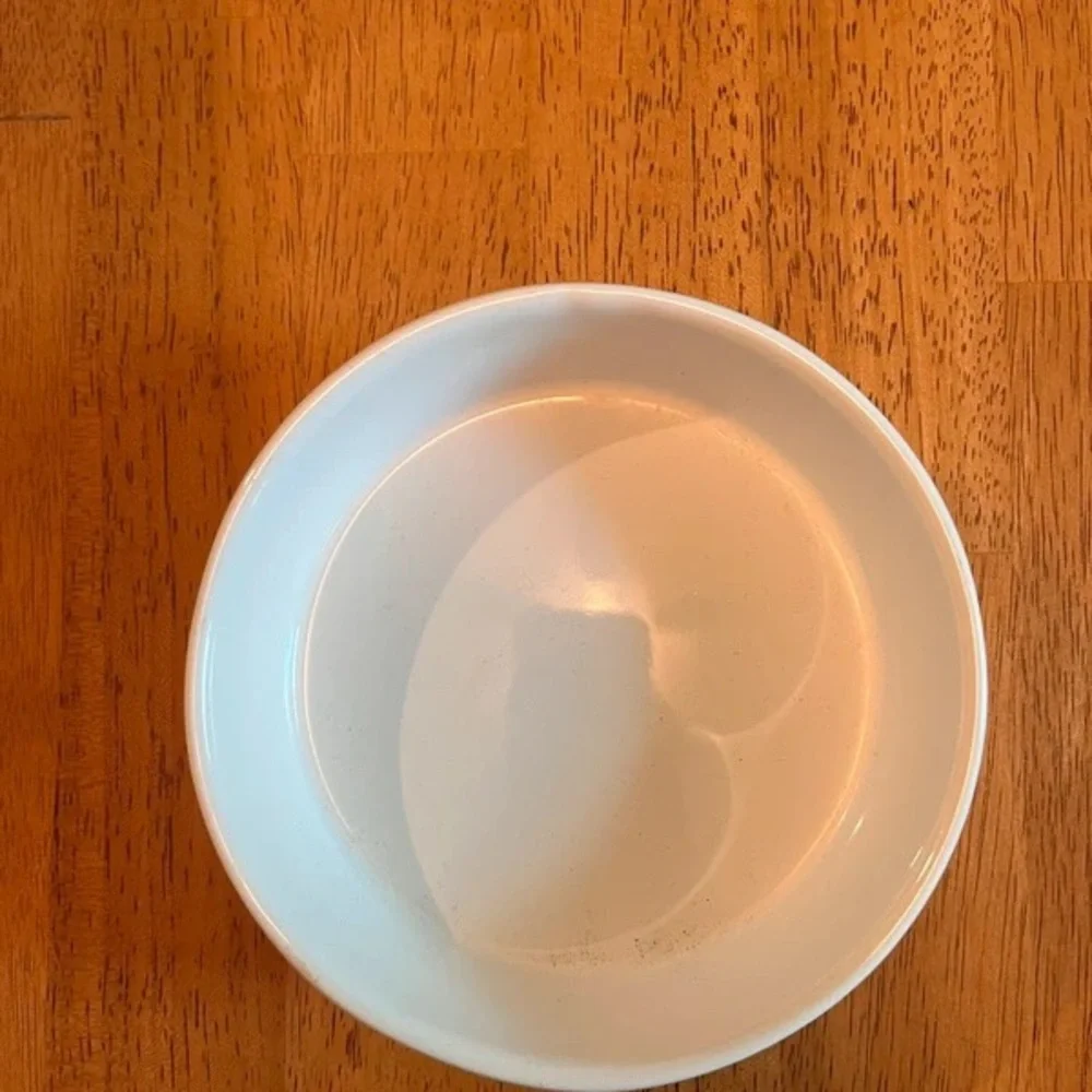 Rae Dunn White Pet Bowl with SIP Text